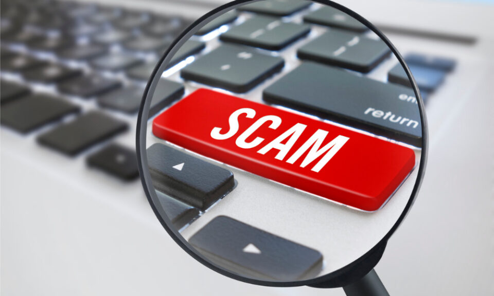 Countering Scam Sites and Enhancing Trust with Eat-and-Run Verification